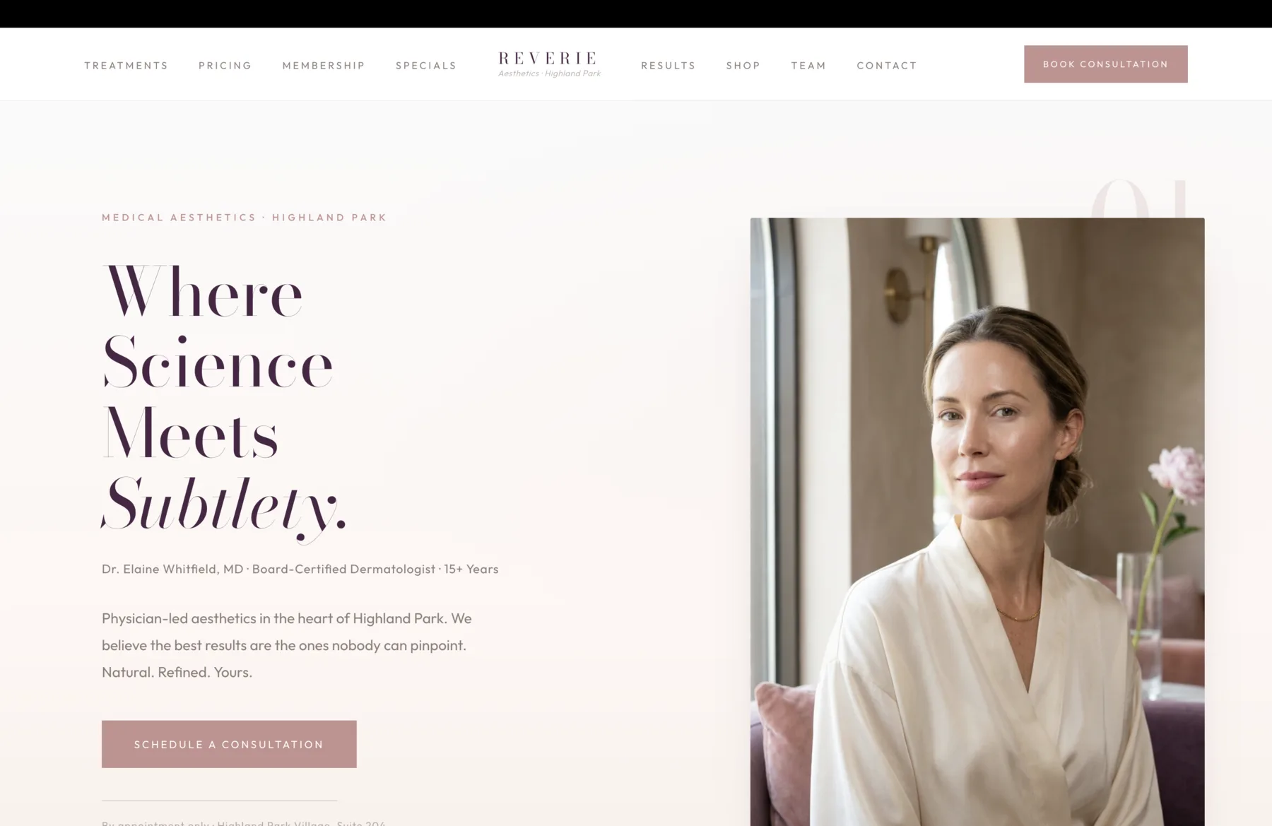 Med Spa brief preview
